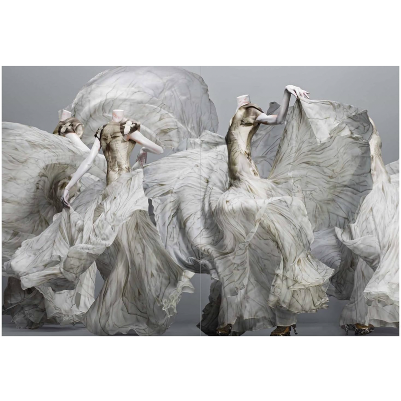 Book Alexander McQueen: Savage Beauty