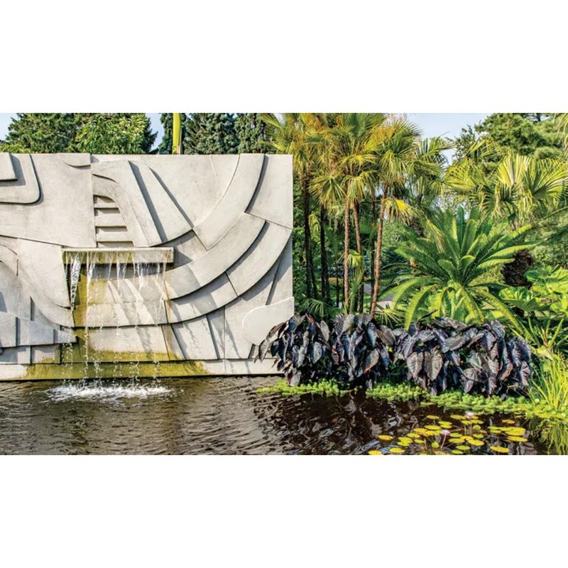 Book Beyond Wild Gardens and Landscapes by Raymond Jungles