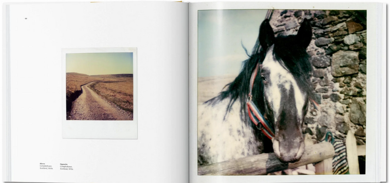 Linda McCartney Book. The Polaroid Diaries