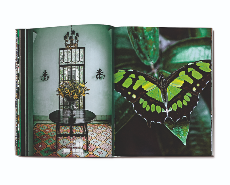 Livro G: Forever Green