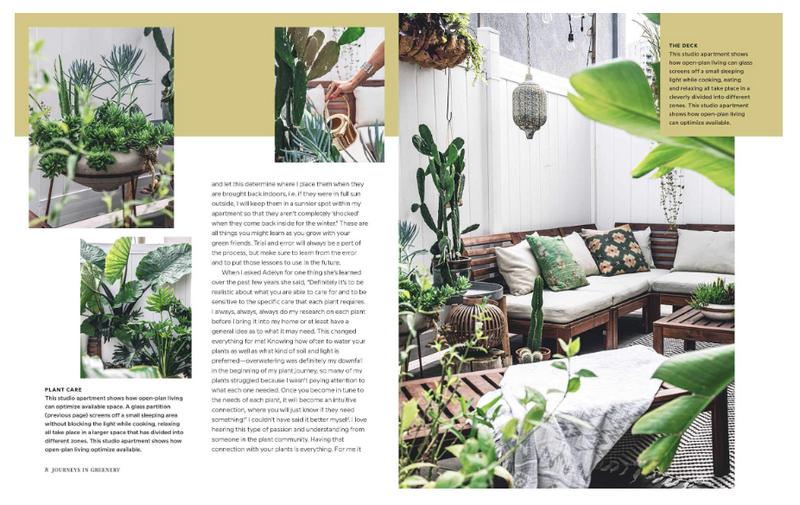 Wild Interiors: Beautiful Plants in Beautiful Spaces book