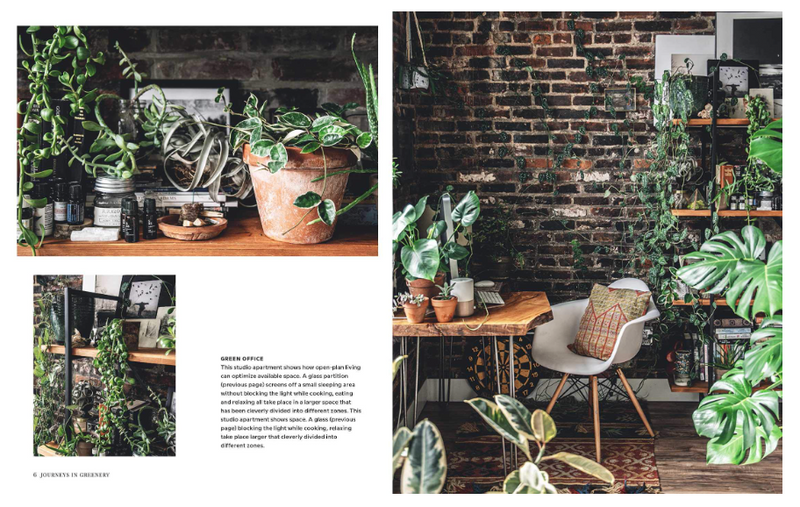 Wild Interiors: Beautiful Plants in Beautiful Spaces book