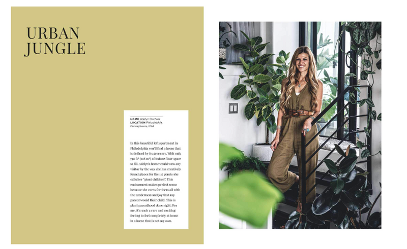 Wild Interiors: Beautiful Plants in Beautiful Spaces book