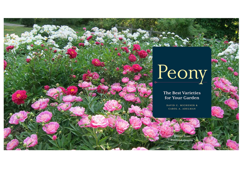 Book Peony: The Best Varieties for Your Garden