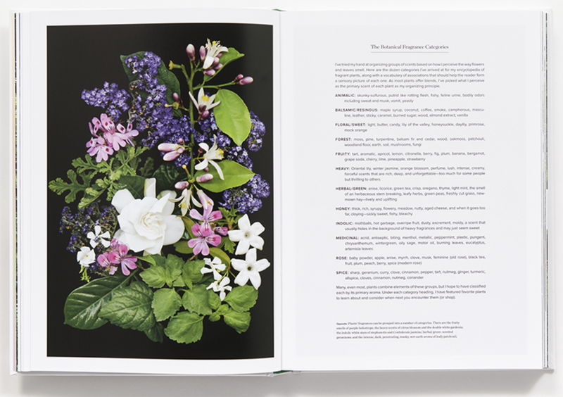 Book The Scentual Garden: Exploring the world of Botanical Fragrance