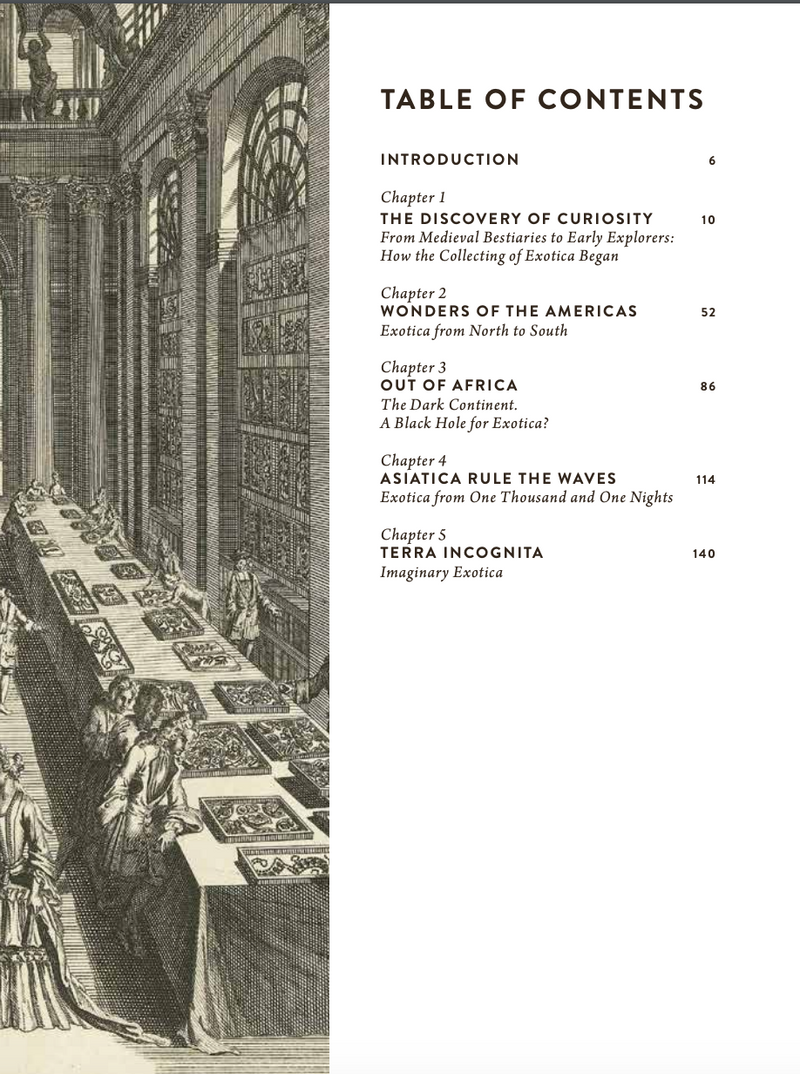 Wunderkammer an exotic Journey through Time book