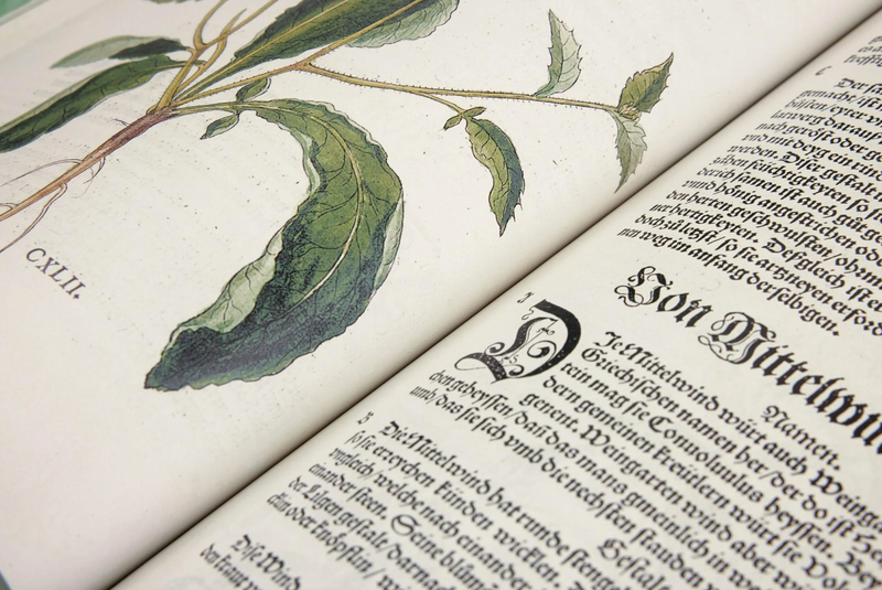 Leonhart Fuchs Book. The New Herbal