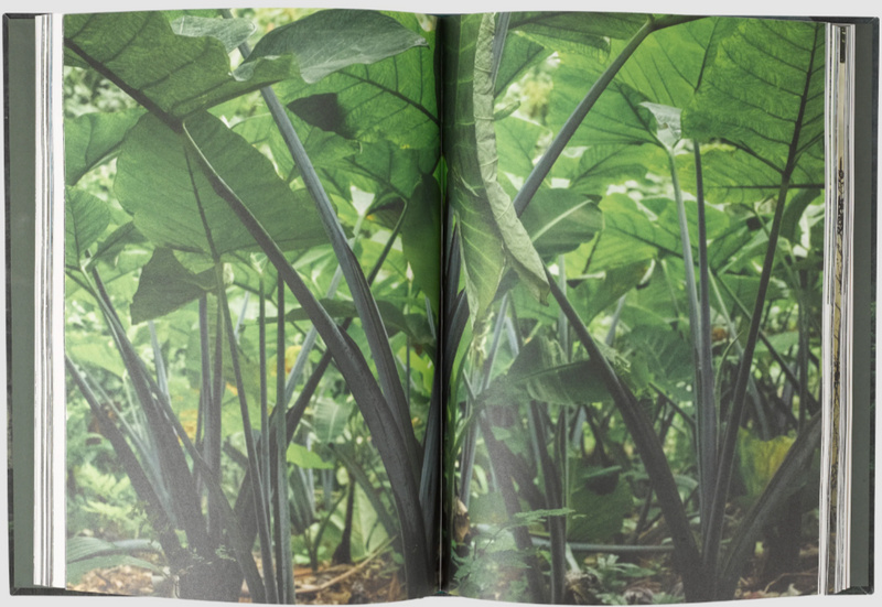 Living Nature book