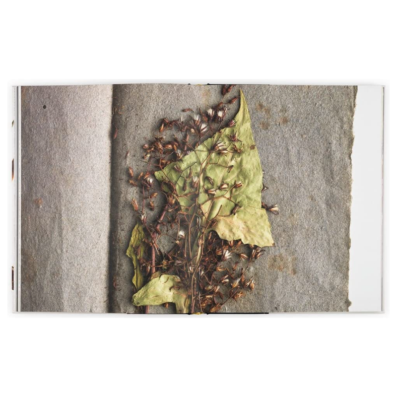 Book Collecting Nature A History of the Herbarium and Natural Specimens