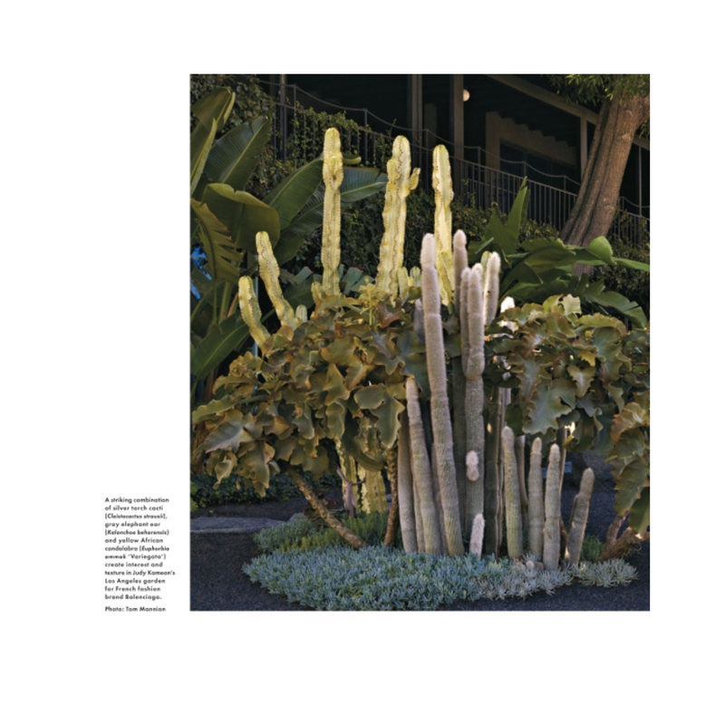 Dry Gardens High Style for Low Water Gardens Book