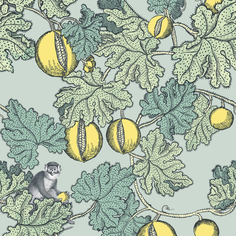 Fornasetti Frutto Proibito Wallpaper