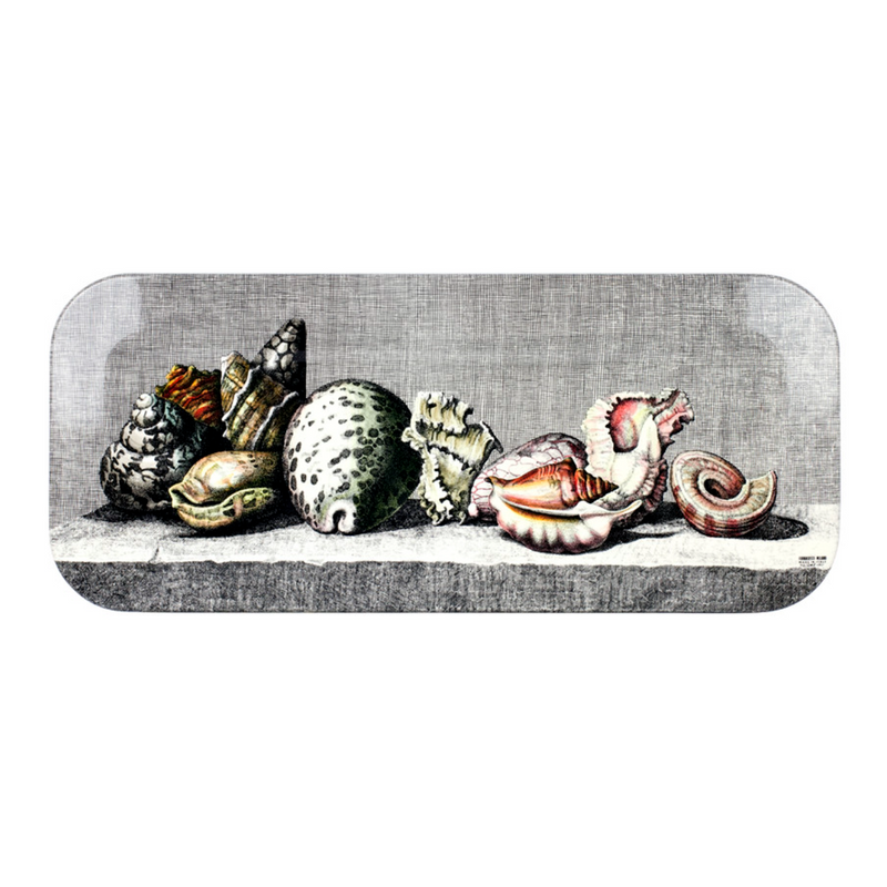 Fornasetti Conchiglie Tray