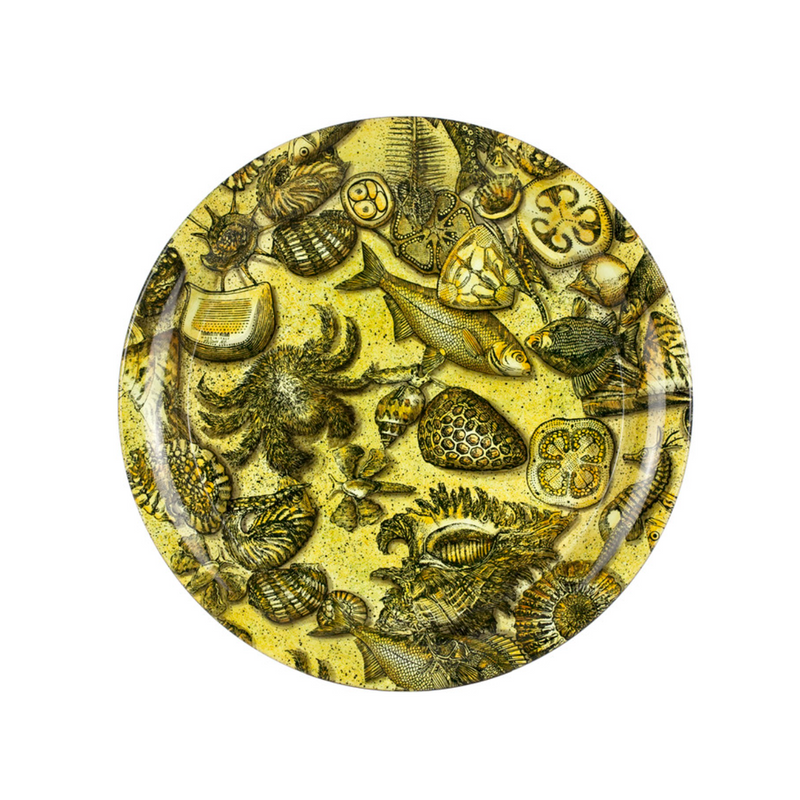 Fornasetti Bandeja Fossil Ochre