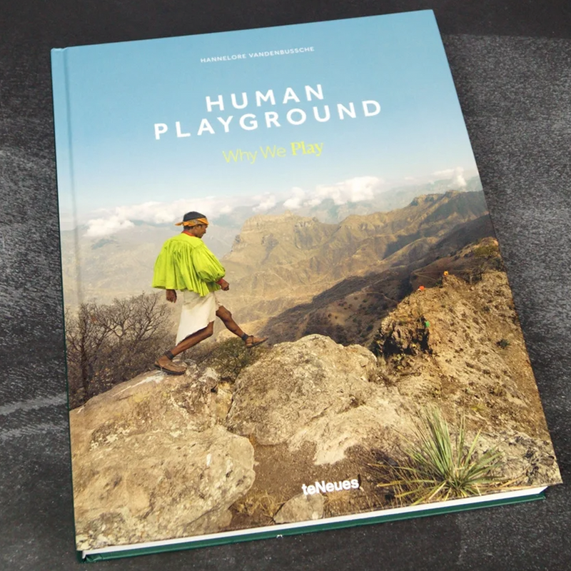 Human Playground Why We Play book