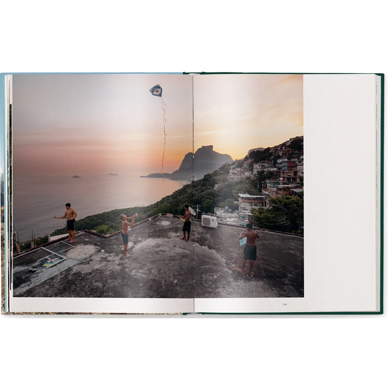 Human Playground Why We Play book