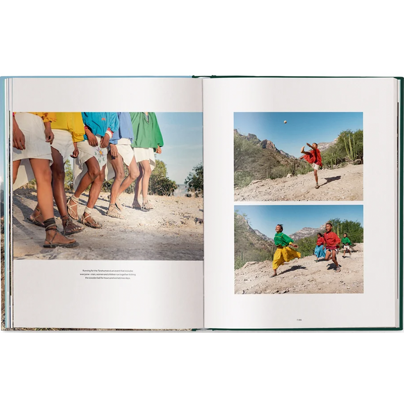 Human Playground Why We Play book