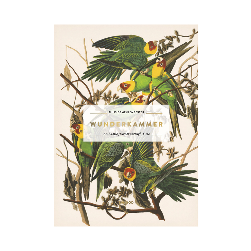 Wunderkammer an exotic Journey through Time book