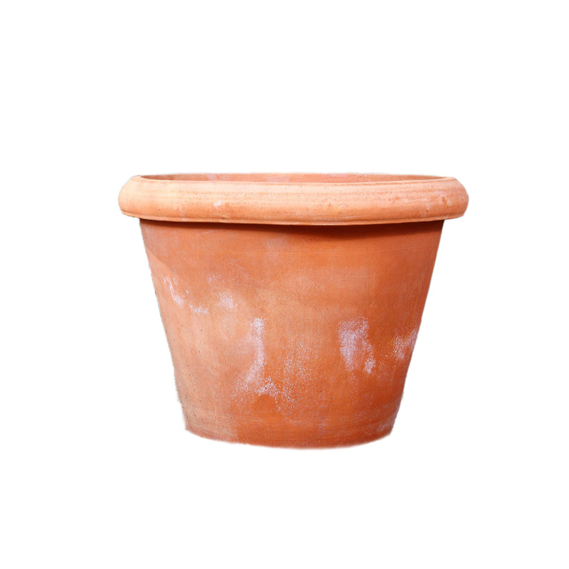 Vaso A Camela