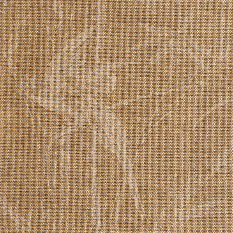 Fornasetti Frutto Proibito Wallpaper