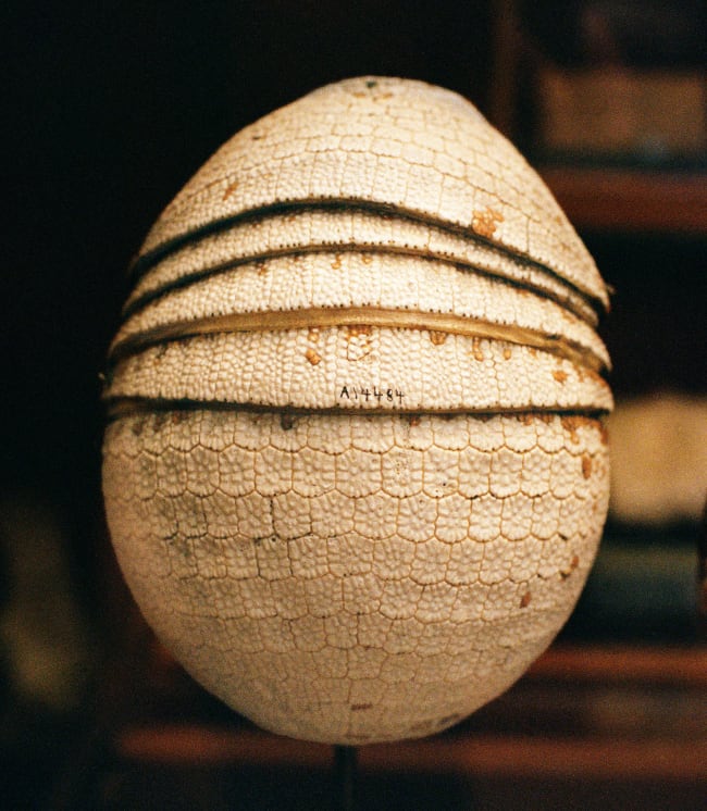 Photography Daniela Ângelo A11597, 2023