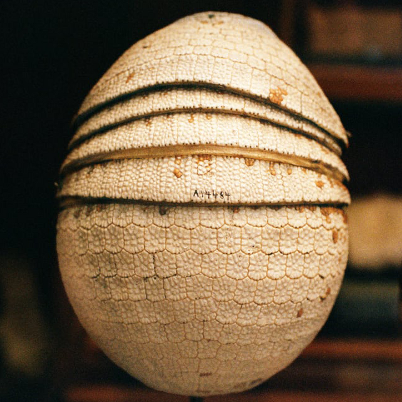 Photography Daniela Ângelo A11597, 2023