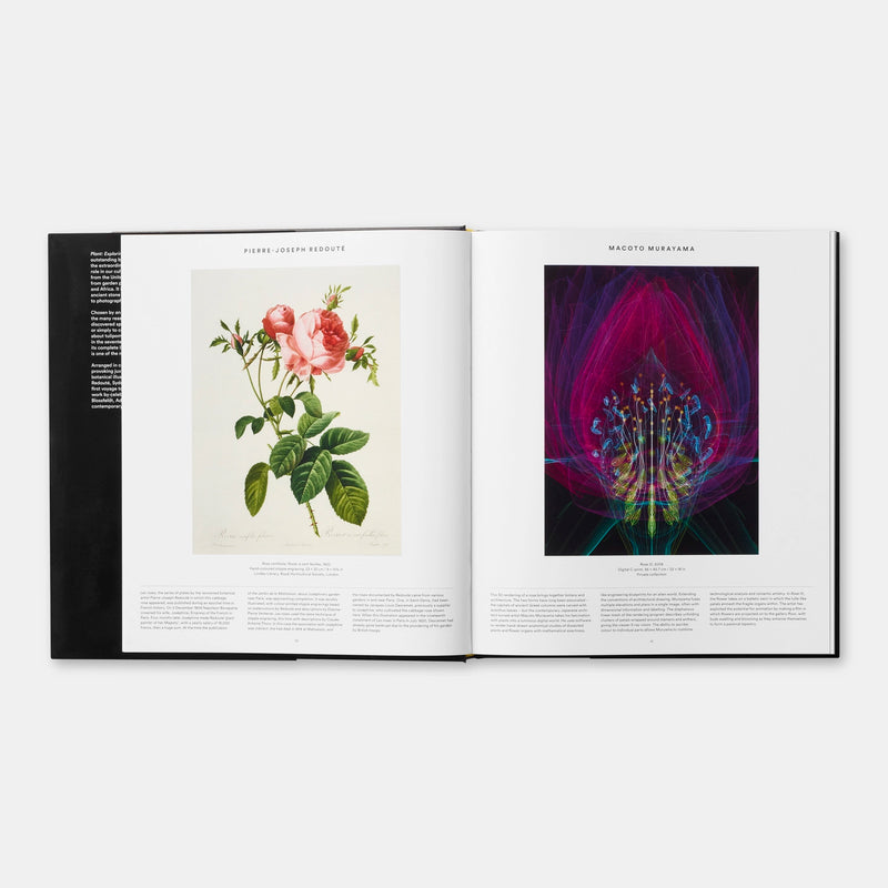 Livro Plant: Exploring the Botanical World