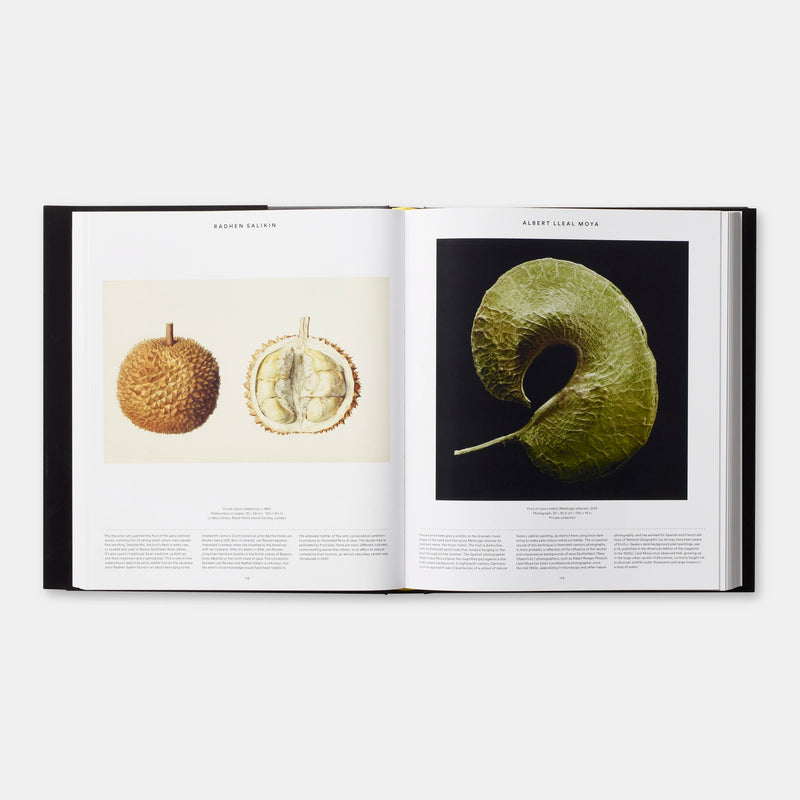 Livro Plant: Exploring the Botanical World