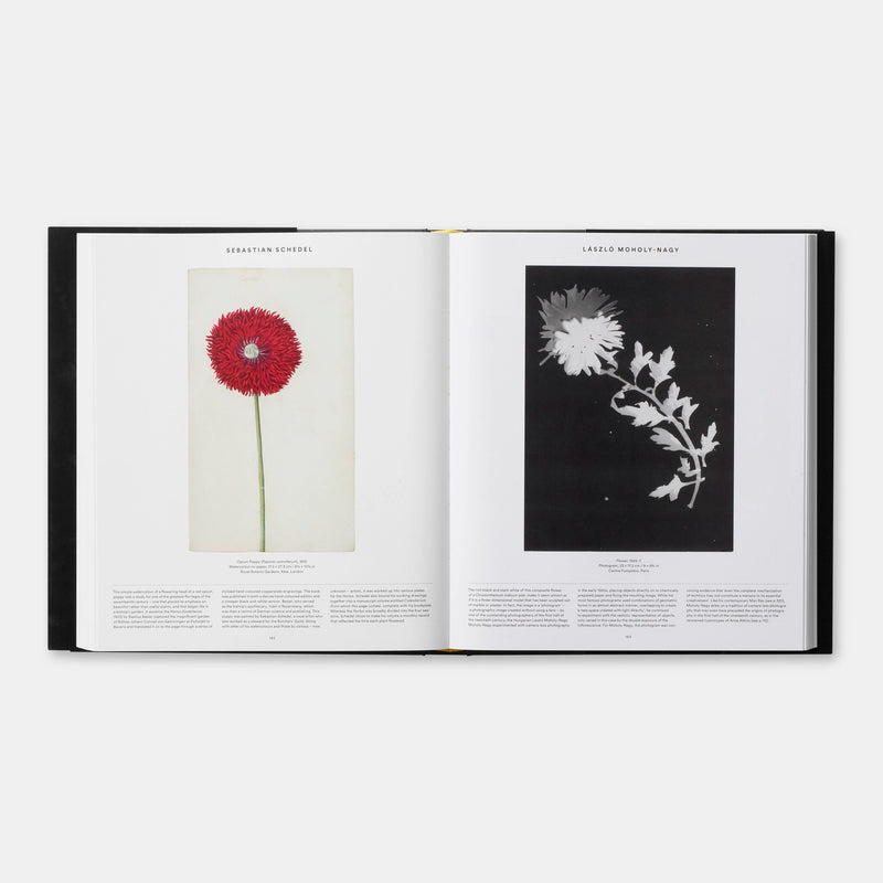 Livro Plant: Exploring the Botanical World