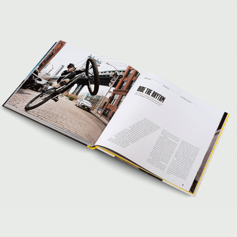 Urban Playgrounds Book