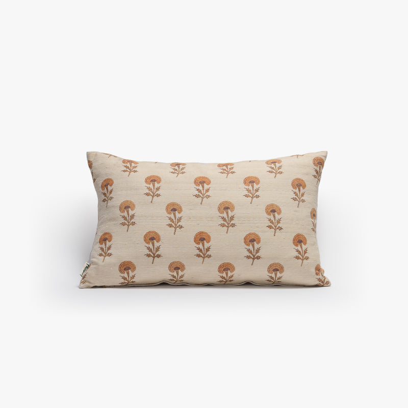 Rajstan Silk Cushion