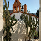 A Wandering Eye: Travels with My Phone by Miguel Flores-Vianna