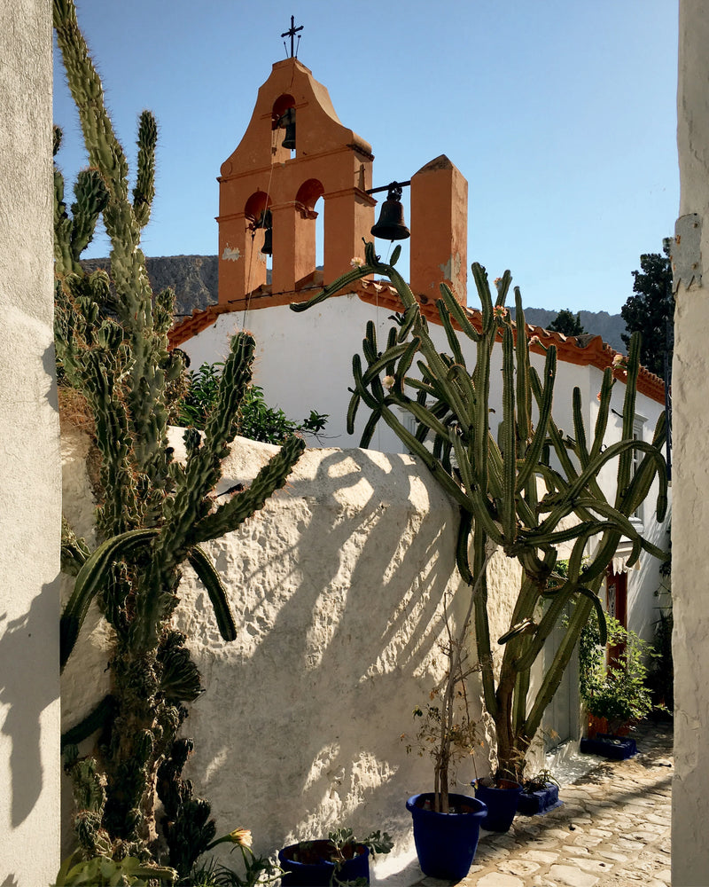 A Wandering Eye: Travels with My Phone by Miguel Flores-Vianna