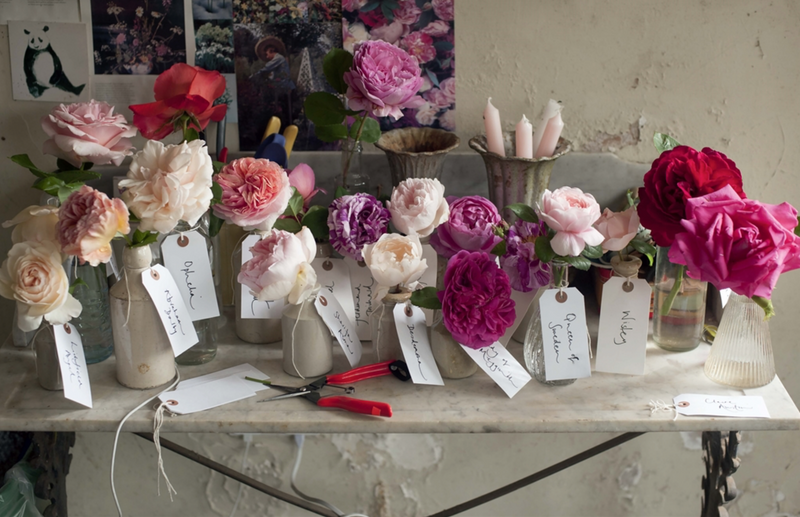 The Land Gardeners Cut Flowers book