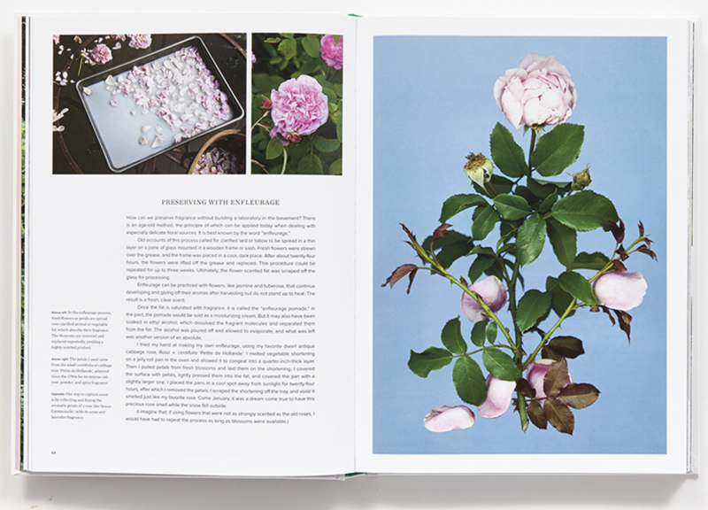 Book The Scentual Garden: Exploring the world of Botanical Fragrance