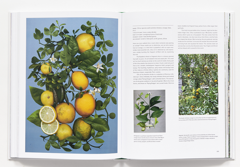 Book The Scentual Garden: Exploring the world of Botanical Fragrance