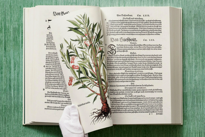 Leonhart Fuchs Book. The New Herbal