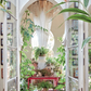 Book The House of a Lifetime: A Collector's Journey in Tangier