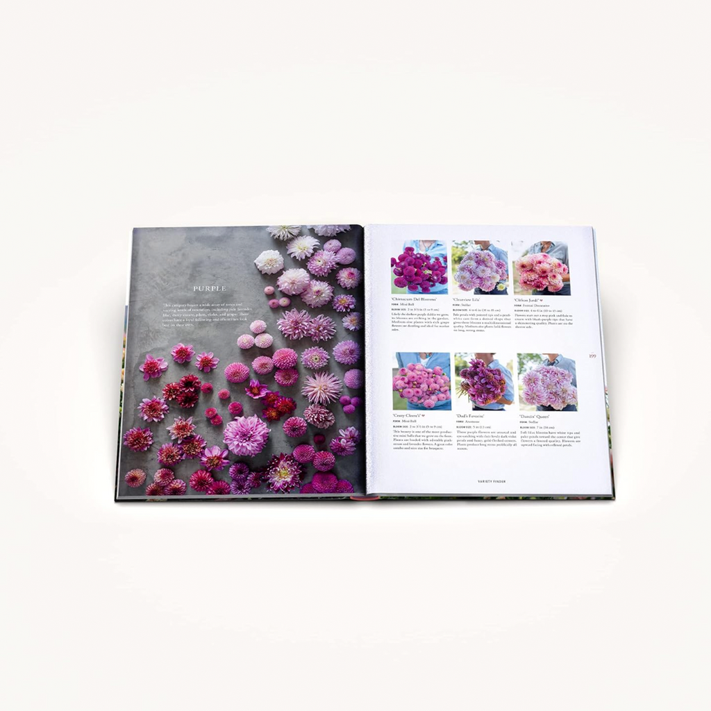 Livro Floret Farm's Discovering Dahlias a Guide to Growing and Arrangi