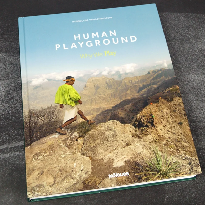 Livro Human Playground Why We Play