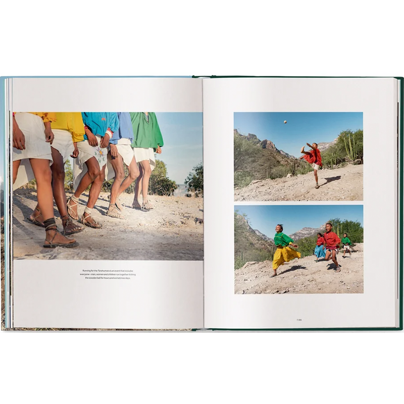 Livro Human Playground Why We Play