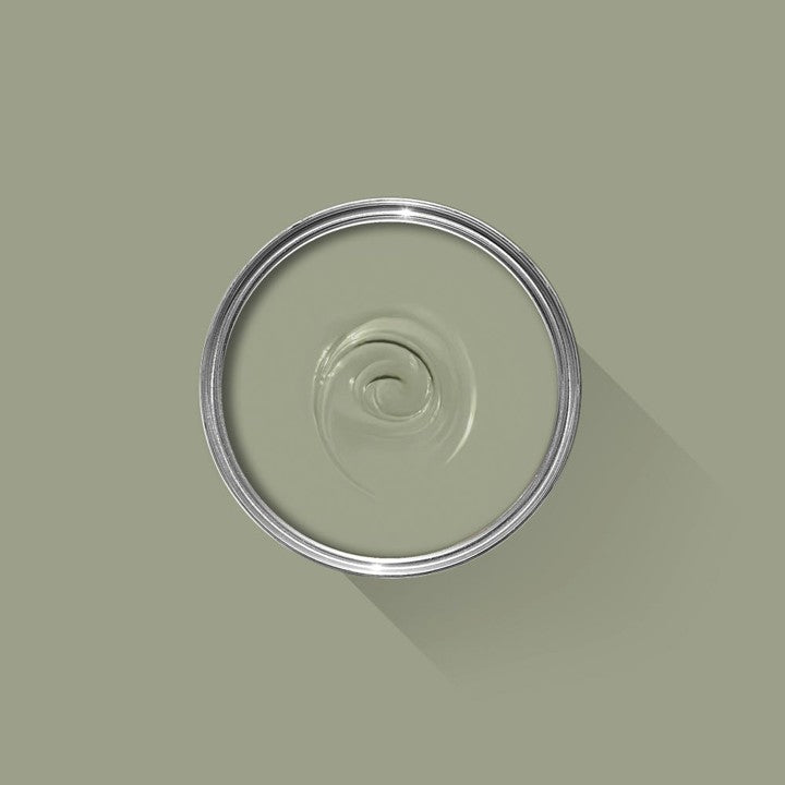 Lichen 19