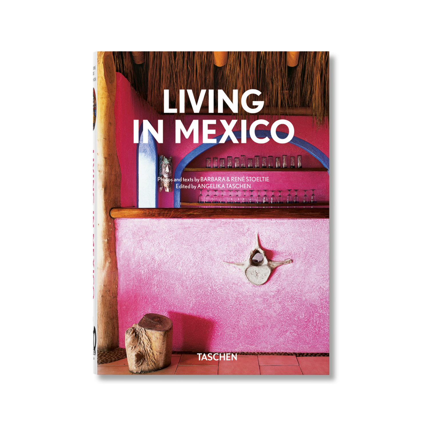 Living in Mexico book