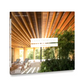 Tropical House Book: Houses by Jacobsen Architecture