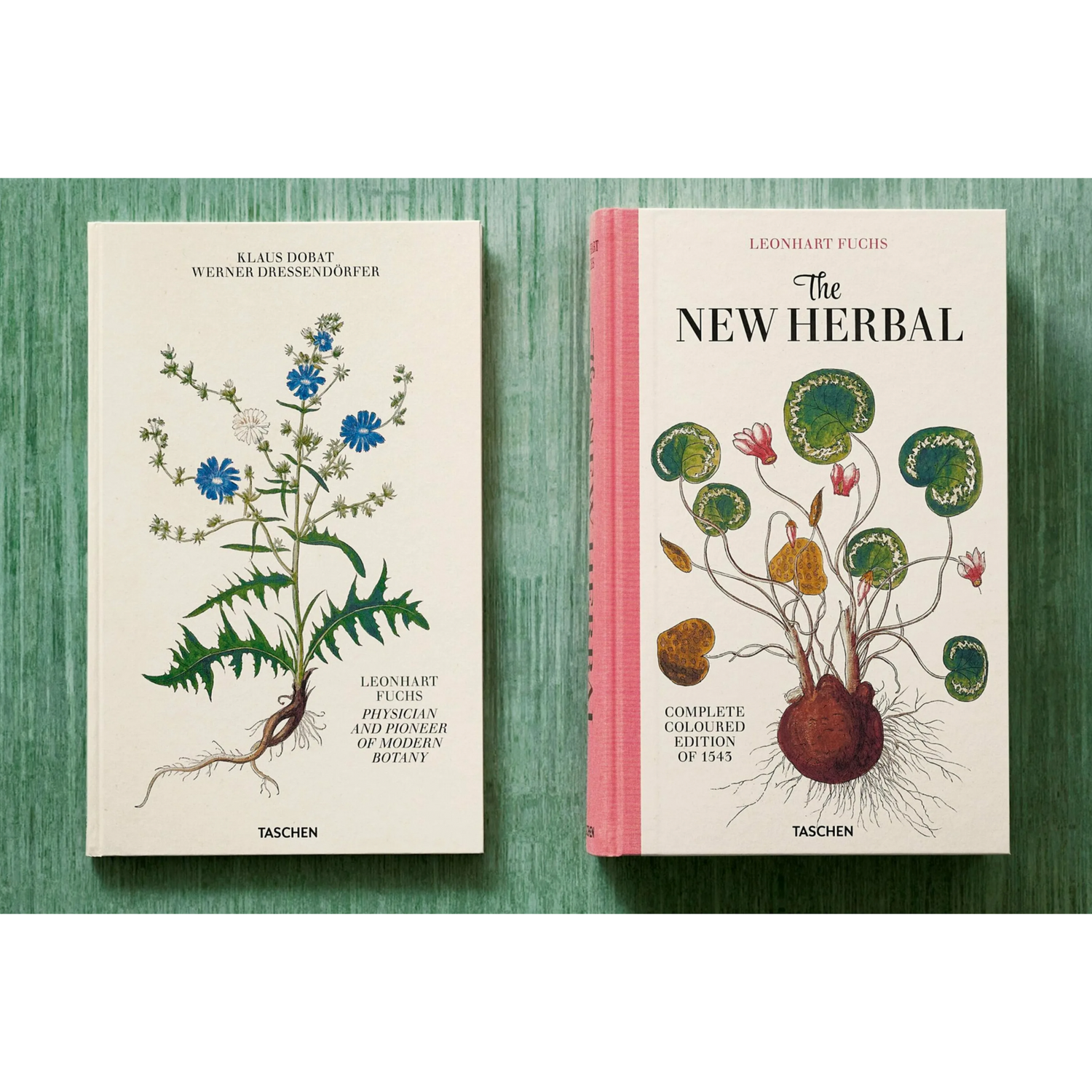 Livro Leonhart Fuchs. The New Herbal