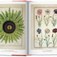 A Garden Eden. Masterpieces of Botanical Illustration