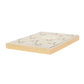 Caderno Antoinette Poisson Baies 56 A
