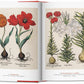 A Garden Eden. Masterpieces of Botanical Illustration