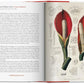 A Garden Eden. Masterpieces of Botanical Illustration