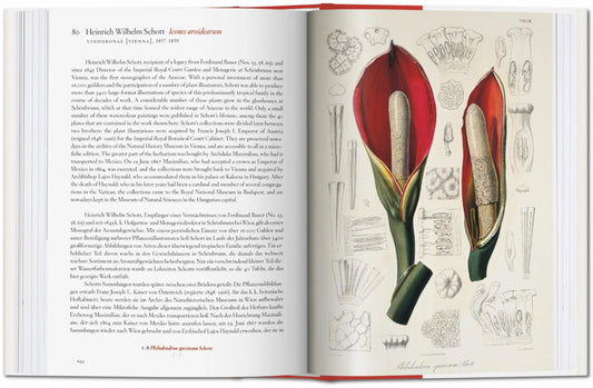 A Garden Eden. Masterpieces of Botanical Illustration