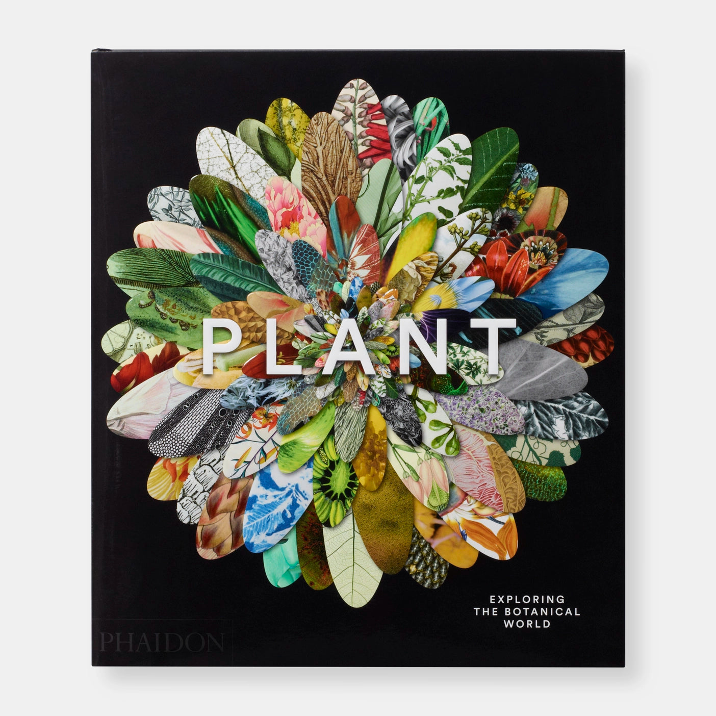 Livro Plant: Exploring the Botanical World